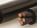 專業(yè)之旅、物有所值----德柔