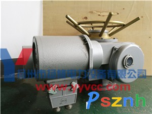 DZW60-A00-WK-1