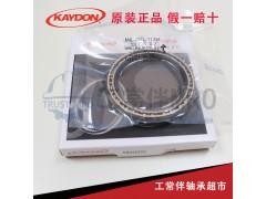 廣州哪里有供應(yīng)專業(yè)的KAYDON軸承