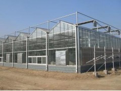 scybe 山東紋洛室玻璃溫室大棚，山