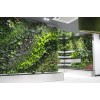 重慶植物墻設(shè)計(jì)_買植物墻當(dāng)然是到重慶圖拉園林景觀工程