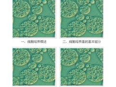 宜興賽爾生物提供宜興細胞培養基，