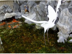 溧陽(yáng)市庭院魚(yú)池水凈化系統(tǒng)   135152