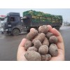 專業(yè)的頁巖陶粒制作商-頁巖陶粒價(jià)格