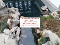 常州市小區(qū)景觀河水凈化過(guò)濾循環(huán)增