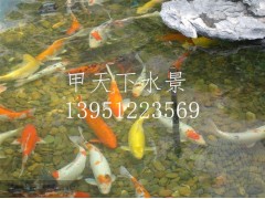無(wú)錫市錦鯉魚(yú)池過(guò)濾公司！鴻瀚環(huán)保1