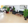 北京塑膠地板施工公司_【薦】實惠的塑膠地板_廠家直銷