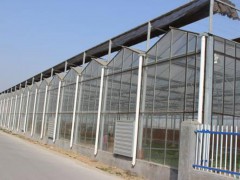 專業溫室大棚廠家_連棟薄膜溫室建設