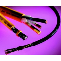 局域網電纜  品牌： BELDEN 標簽：連接電纜
