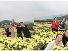 秋意深濃旅意遲，萍蹤眾聚恰當(dāng)時---虹潤公司的開心一刻