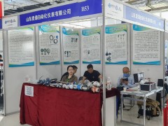 直擊現場丨麥森自動化攜熱電偶、熱電阻、鎧裝加熱器系列彩亮相淄博石油化工展