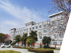 智能技術 助力發(fā)展 南陽副市長一行蒞臨微特電機進行視察調研