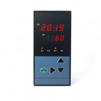 浙江頂威_ 溫度調(diào)節(jié)器DS805-020-23-HLP