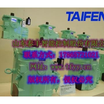 泰豐負載敏感泵TFB1V63M定量右旋平