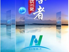 【參會指南】超200家單位報名，五十六場精彩報告，共同開啟鈉電盛會