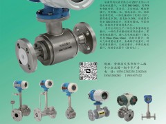 安徽智的儀表入刊上海世環(huán)會特刊《儀表與測量控制》系列客戶報道20