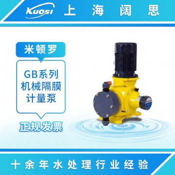 機械隔膜計量泵GB系列 LMI米頓羅耐